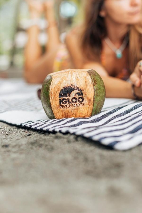 Igloo Beach Lodge Мануэль-Антонио Экстерьер фото